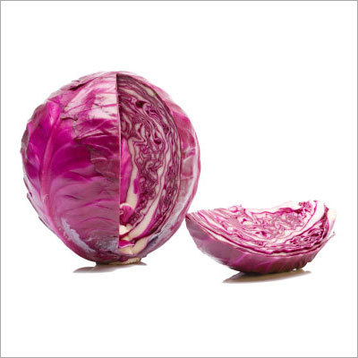 Cabbage - Purple 0.5-1kg 5-10cm | Versatile Use Nutritional Value Fresh Taste Easy Prep Refrigerated Storage