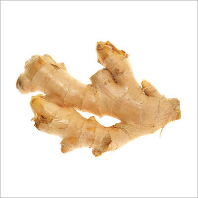 Ginger