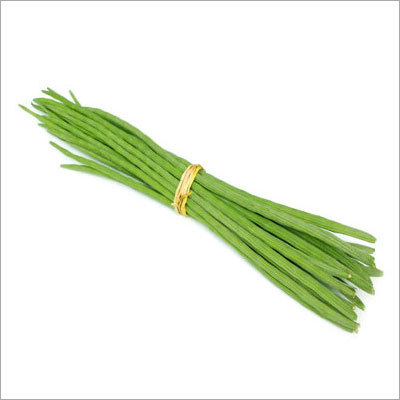 Drumstick - 10-15cm Length 0.5-1cm Diameter Green | Fresh Tasty High Nutrition Long Shelf Life Bundle Pack
