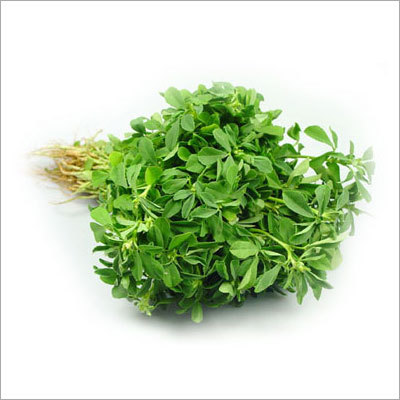 Fresh Fruits and Vegetables