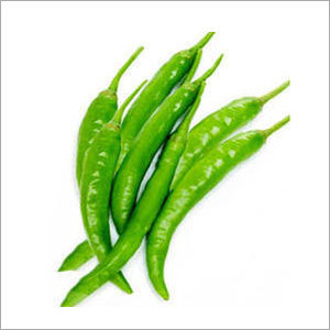 Chilli Green Big