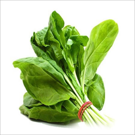 Spinach - Palak