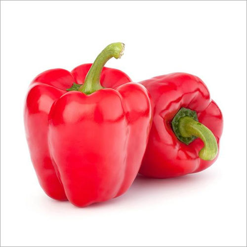 Capsicum Red Seeds Shimla Mirch
