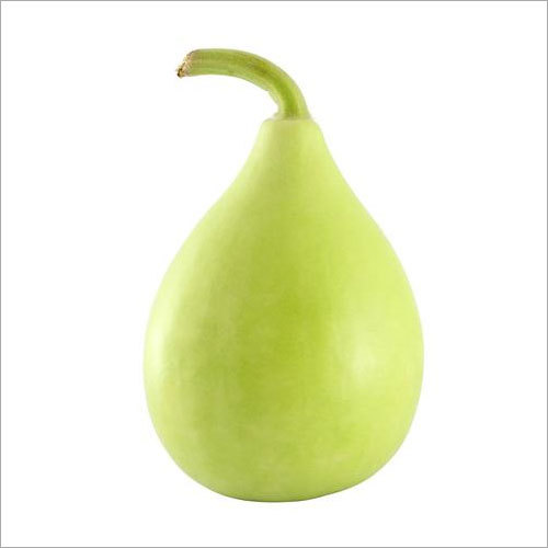 Bottle Gourd Bulb Seeds Laukee