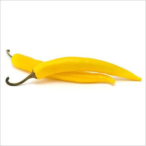 Chillies Yellow Seeds Mirch - 500g 1-2mm Seed Size Yellow | High Yield Easy Growth Spicy Flavor