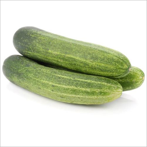 Cucumber Summer Seeds, Kheera