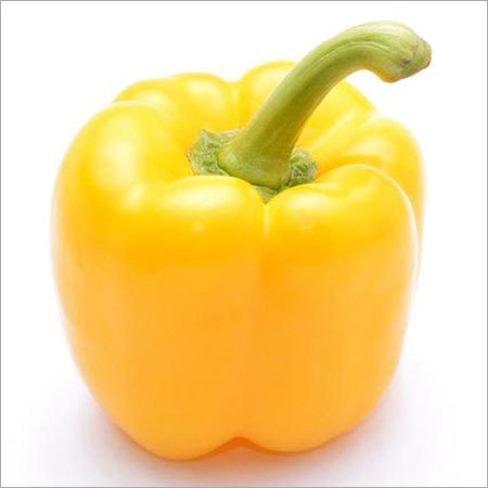 Capsicum Yellow Seeds, Shimla Mirch
