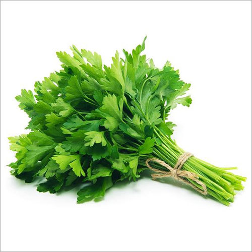 Parsley Seeds, Ajmod