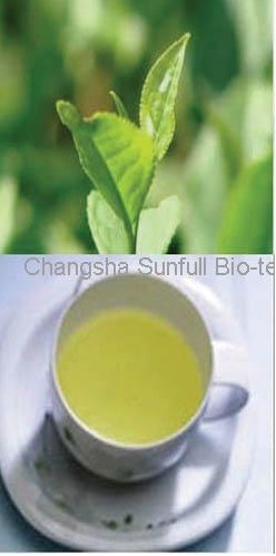 Green Tea Extracts