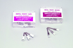 Dental Prophy Cups