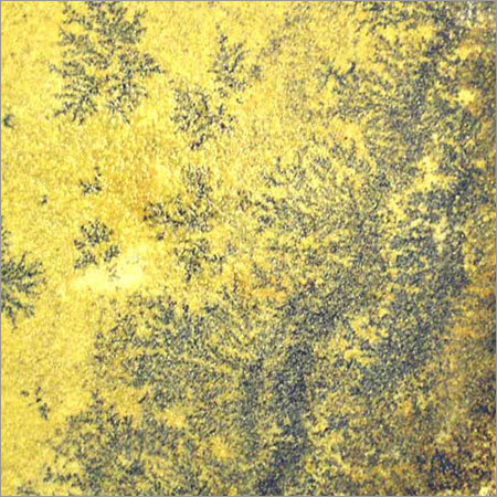 Fossil Sand Stone