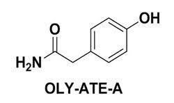 Atenolol