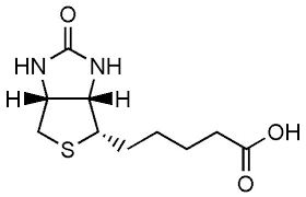 D-Biotin