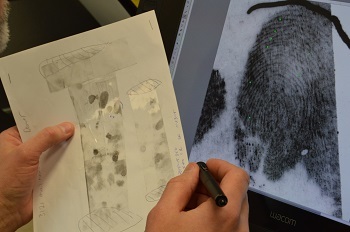 Training On DNA Fingerprinting