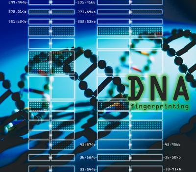 DNA Finger Printing DNA Finger Printing