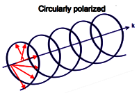 Compact Disc Analysis