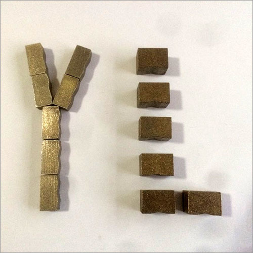 YL Segment