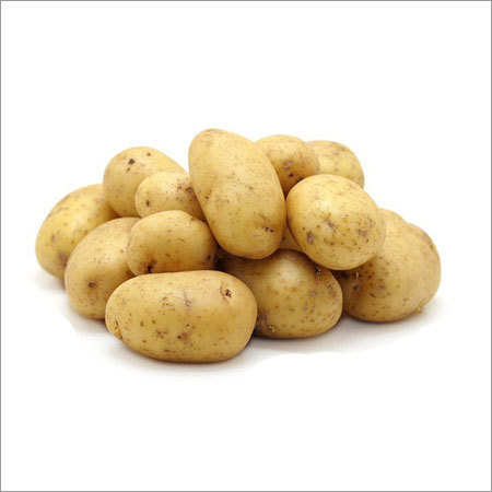Fresh Potato
