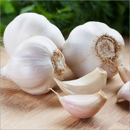 Fresh Garlic