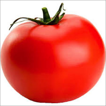 Fresh Tomato