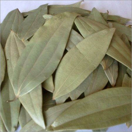Bay Leaf