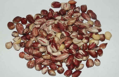 Ground Nuts