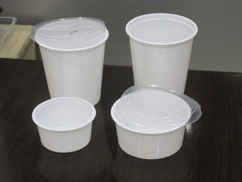 Disposable Food Container