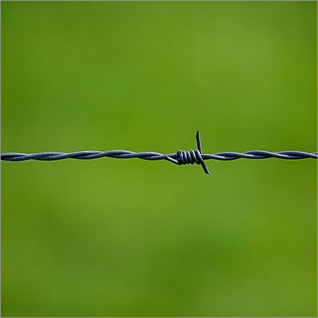Galvanized Barbed Wire