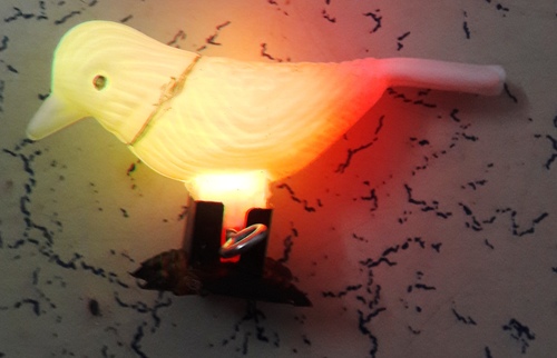 Light Bird