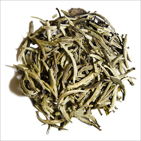 White Bud Yin Zhen White Tea