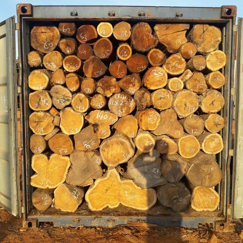 Sudan Teak Round Logs
