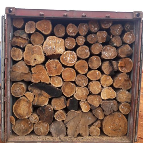Sudan Origin Teak Round Logs