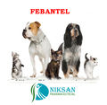 Febantel