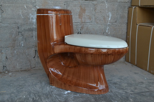 Ceramic One Piece Washdown Water Closet Installation Type: Floor Mounted