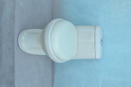 Ceramic One Piece Water Closet Installation Type: Floor Mounted