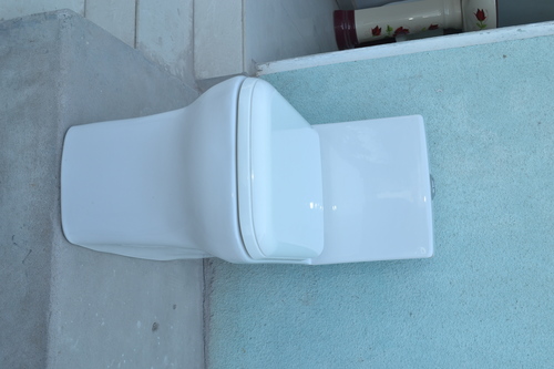 Toilet One Piece Water Closet Installation Type: Floor Mounted