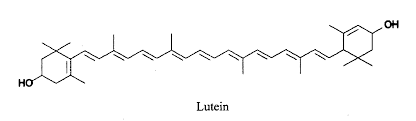 Lutein Application: Pharmaceutical Industry