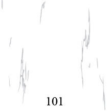 396 x 396 White Matt