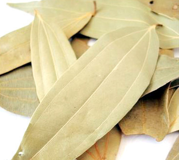 TEJPATTA (BAY LEAF)