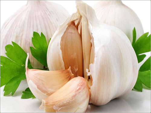 White Garlic Bulb White Garlic Bulb