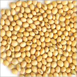 Pure Soyabean