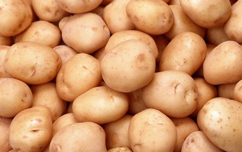 Fresh Potato By NIRMAL ENTERPRISES