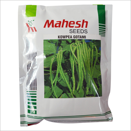 Kowpea Gotami Seeds