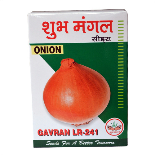 Onion Gavran Lr-241 Seeds