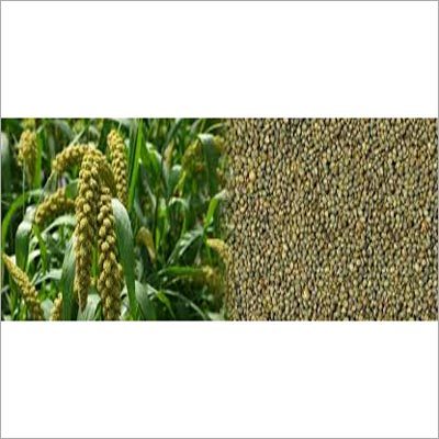 Green Millets Green Millets