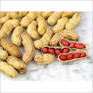 Peanuts Seeds
