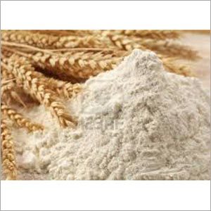 Wheat Flour Wheat Flour