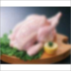 Frozen Whole Chicken Frozen Whole Chicken