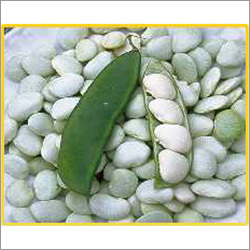 Butter Bean