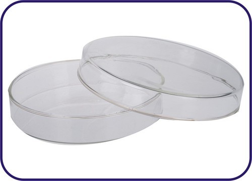 Petri Dishes - Glass, 200-600 Grams | Transparent, Laboratory Use